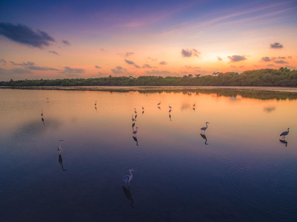 Fiyala Homestay Addu City Bagian luar foto