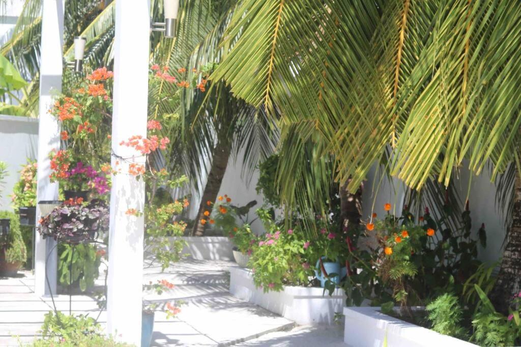 Fiyala Homestay Addu City Bagian luar foto